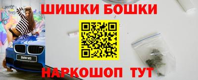индика Заводоуковск