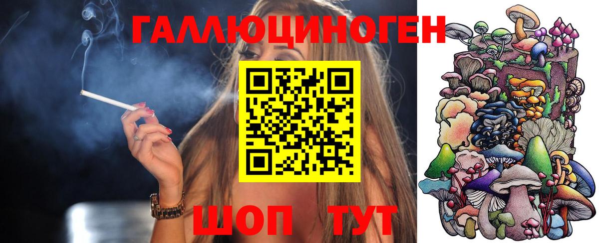 Галлюциногенные грибы Psilocybe  Вход с VPN  Курчалой 