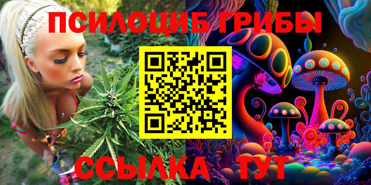 Галлюциногенные грибы Magic Shrooms Курчалой